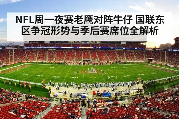 american football stadium crowd